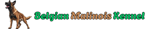 Belgian Malinois Kennel