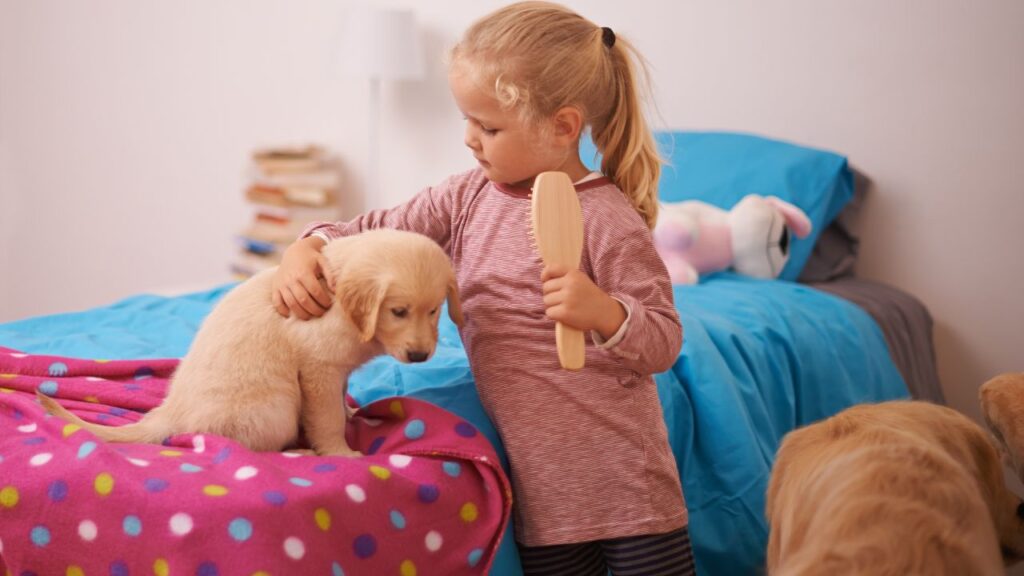 How To Make Your Dog Social Like A Pro