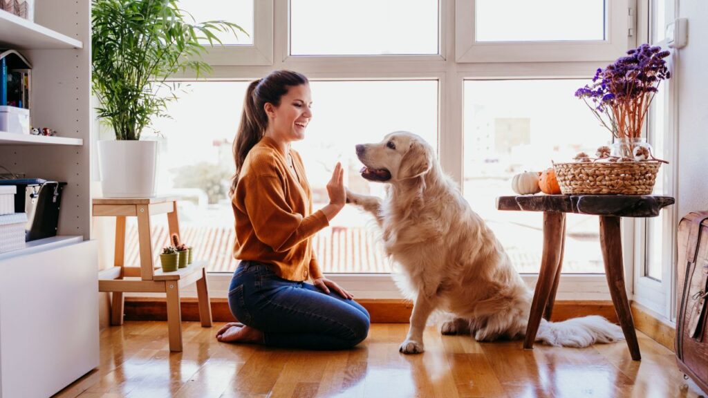 Stop Bad Dog Habits Fast With This Trick