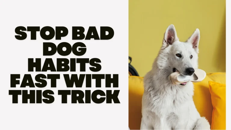 Stop Bad Dog Habits Fast With This Trick