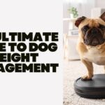 The Ultimate Guide To Dog Weight Management