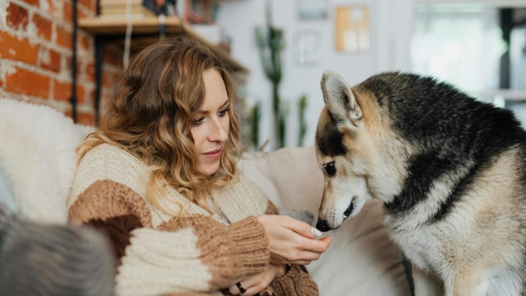 Treat Your Dog Without Harming Their Health