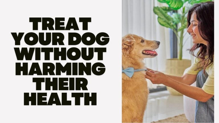 Treat Your Dog Without Harming Their Health